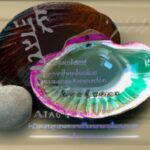 abalone-Muschel – So benutzt du das inspirierende Instrument