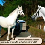 Was bedeutet das weiße Pferd in der Offenbarung?