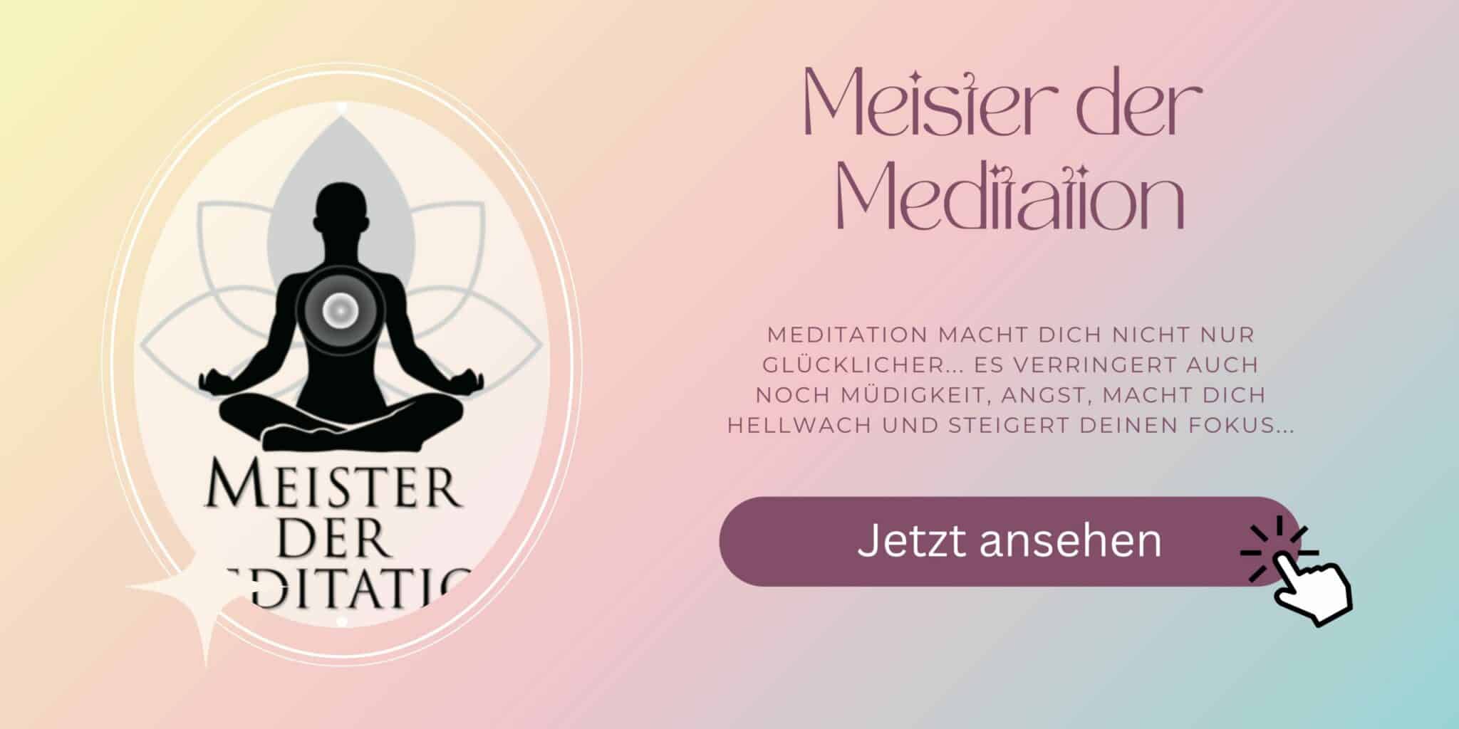 Meister der Meditation von Alexander Wahler.