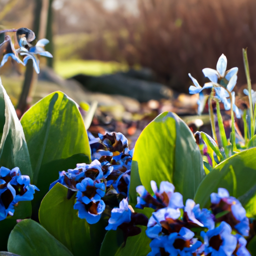 Entdecke die blühenden Gewinner: Die Top Bachblüten-Hersteller im Vergleich!