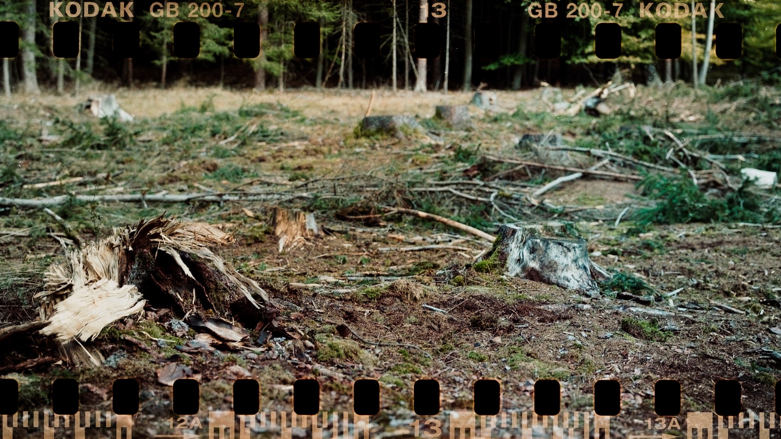 Einmalig und beeindruckend: Entdecke die metallische Raffinesse des runden Baum-Wandschmucks!