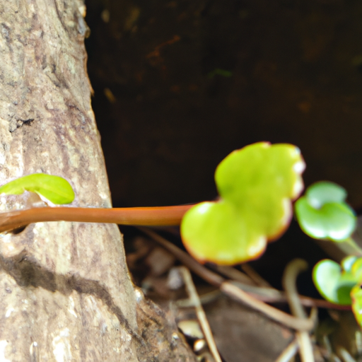 1. Die⁢ wilden Wunder​ der ‍Natur: Entdecke die grüne Revolution!