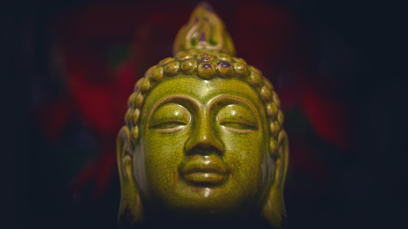 1. Tauche ein in die Welt des Sitzenden Buddha: Eine Einleitung zu unserem ultimativen Guide
