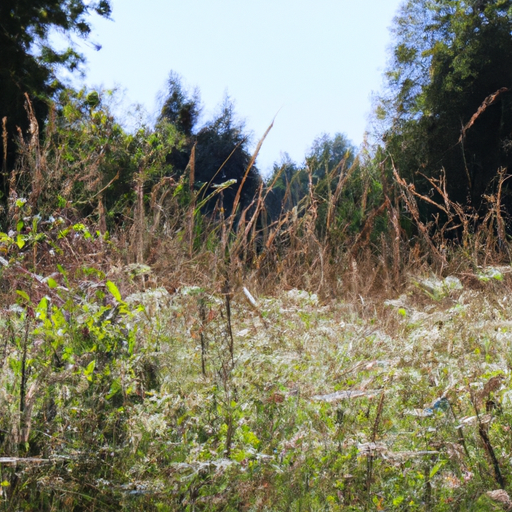 Magischer Geschmack: Herbacetum’s Rotweinessig