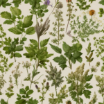 Entdecke die heilsame Welt der Pflanzen: Dr. Ursula Stumpf Heilkräuter im Fokus 2 Entdecke die heilsame Welt der Pflanzen: Dr. Ursula Stumpf Heilkräuter im Fokus