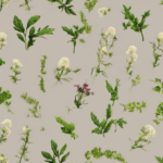 Heilkräuter für die Darmflora: Entdecke die natürlichen Wege zu einem gesunden Mikrobiom 4 Heilkräuter für die Darmflora: Entdecke die natürlichen Wege zu einem gesunden Mikrobiom